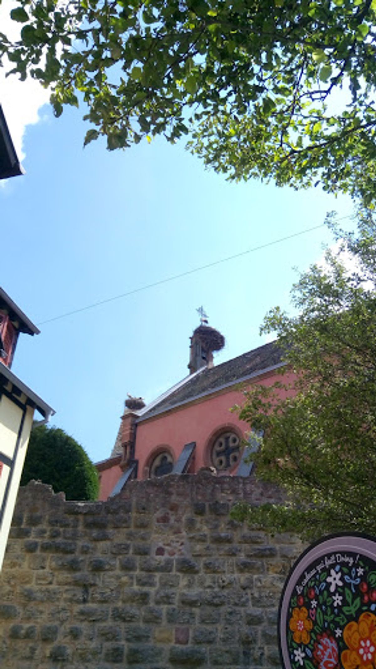 エギスハイムは、コウノトリが生息する村です。
リクヴィールでも見かけました...