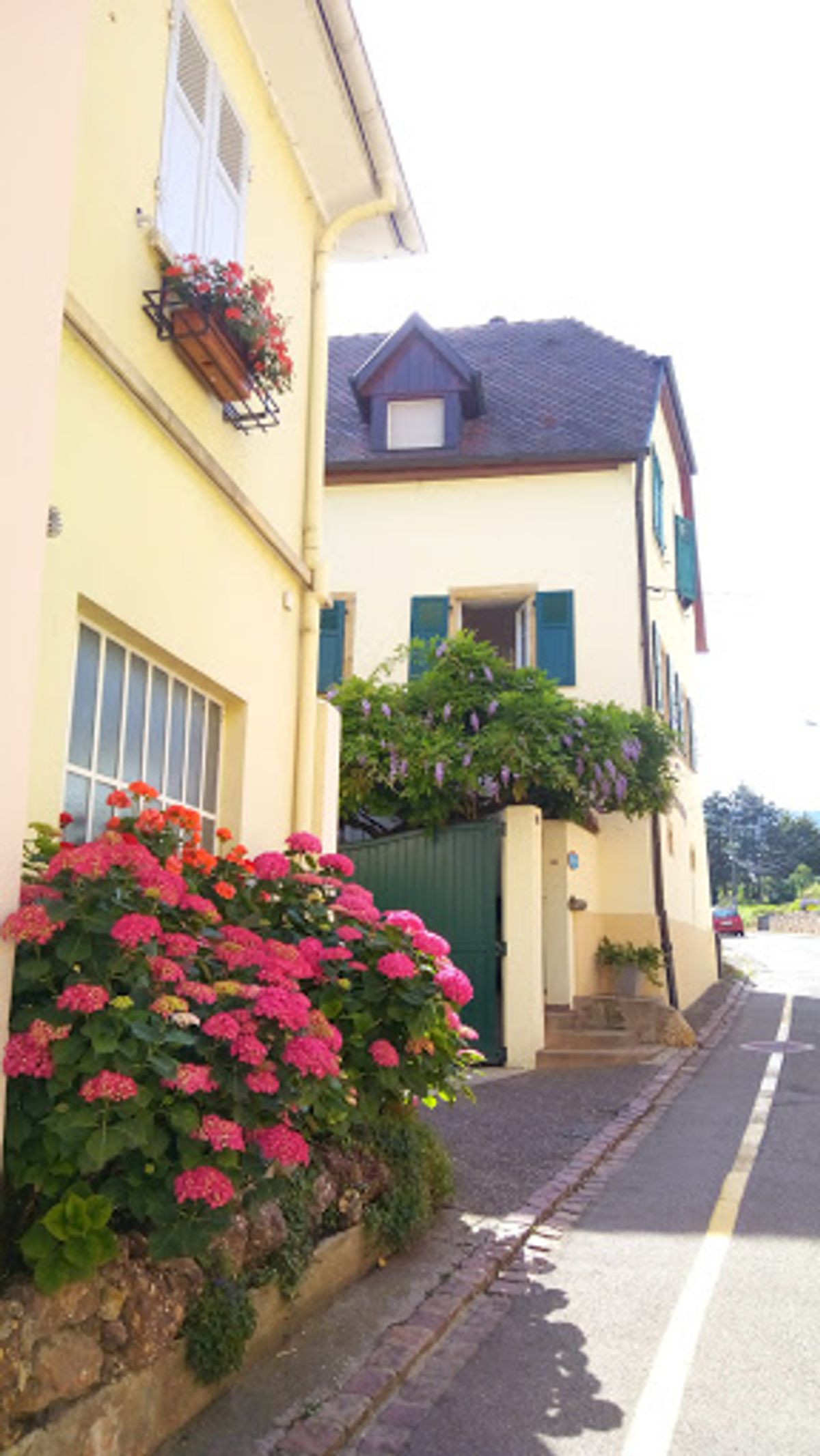 エギスハイムは、とてもコンパクトな街。
至る所にお花があり、とても華やかで...