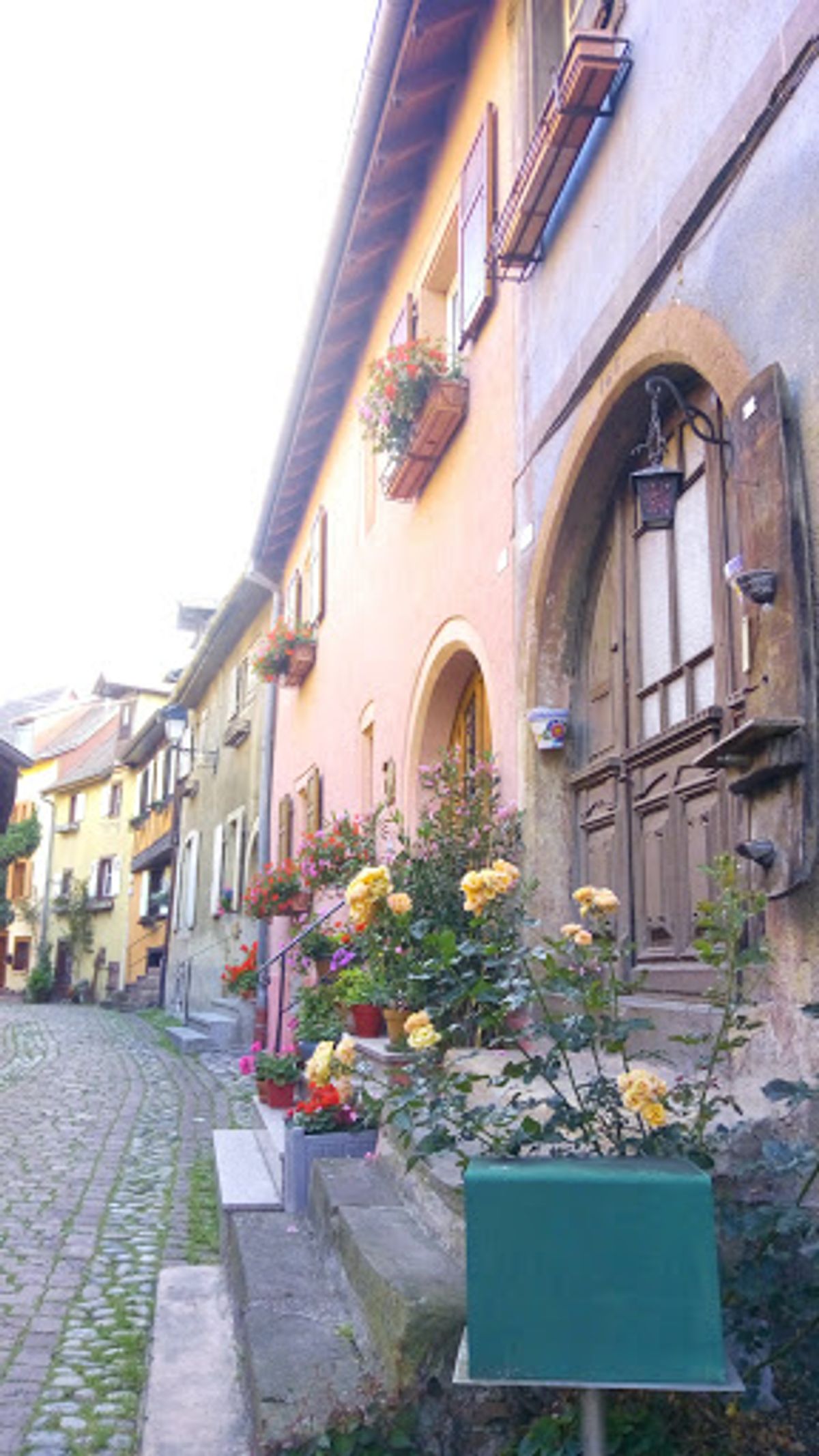 エギスハイムは、とてもコンパクトな街。
至る所にお花があり、とても華やかで...