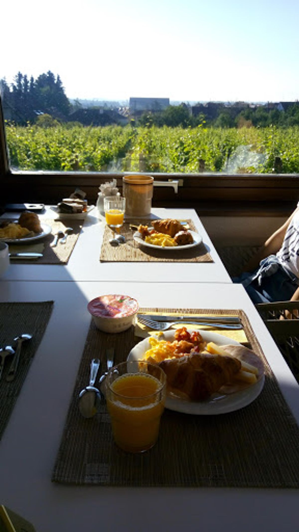 朝食は、ホテルで。
ぶどう畑を見ながらの朝ごはんは、最高でした🍇
このヨー...