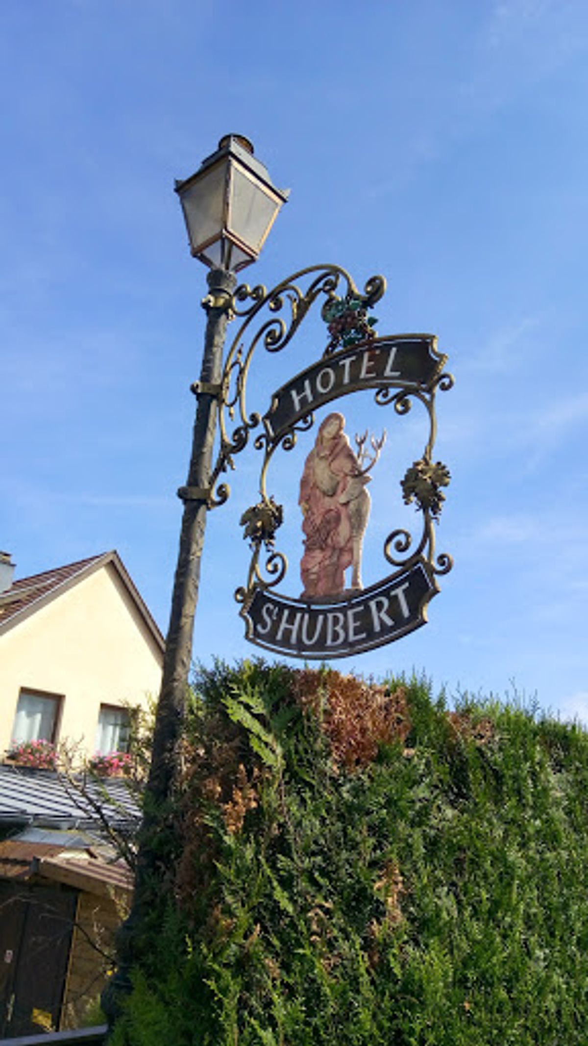 朝食は、ホテルで。
ぶどう畑を見ながらの朝ごはんは、最高でした🍇
このヨー...