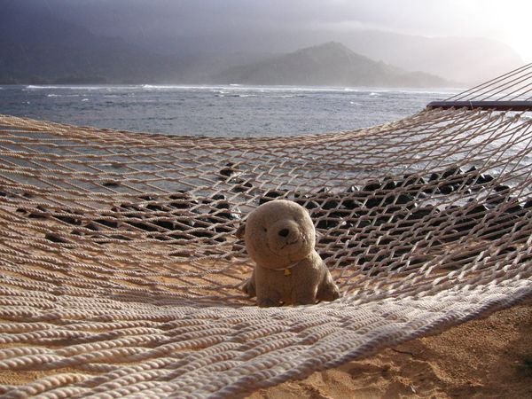 アメリカ(米国)・ハワイ(カウアイ)「初のカウアイ島」の写真