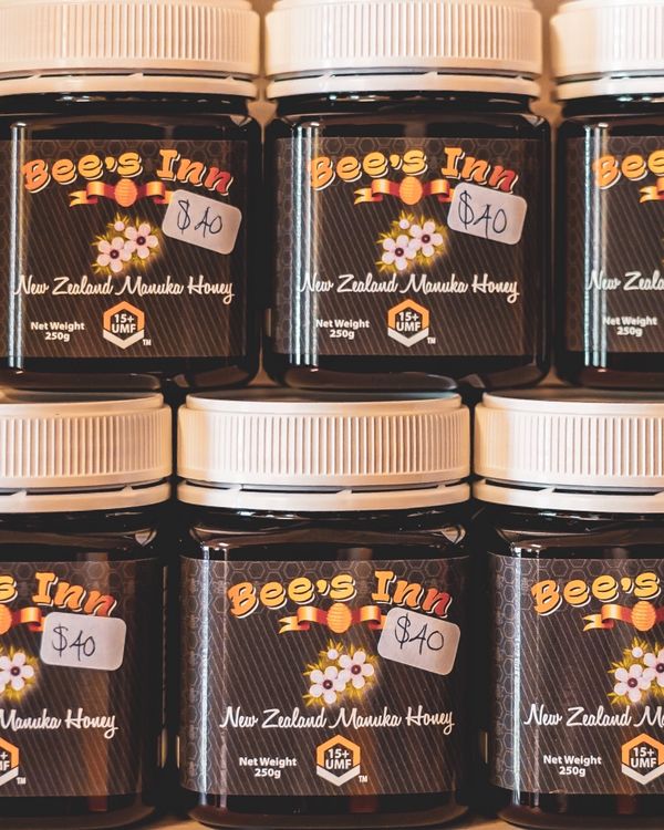 ニュージーランド・ワイトモ「ニュージーランド レンタカーで行き当たりばったりの旅」の写真：次に訪れたのはピロンギアの町だった。
...