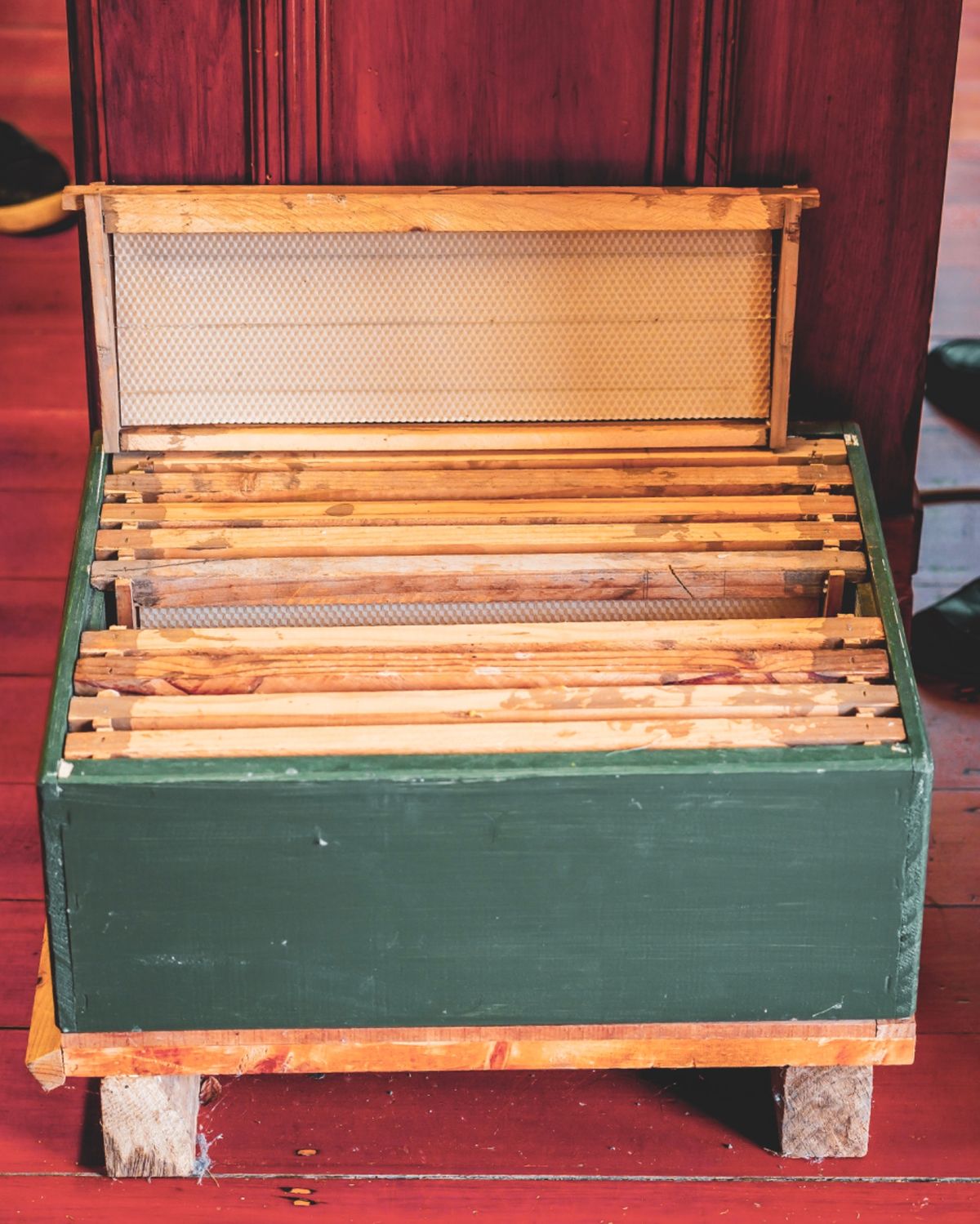 次に訪れたのはピロンギアの町だった。

「アイスクリームを食べよう」
...