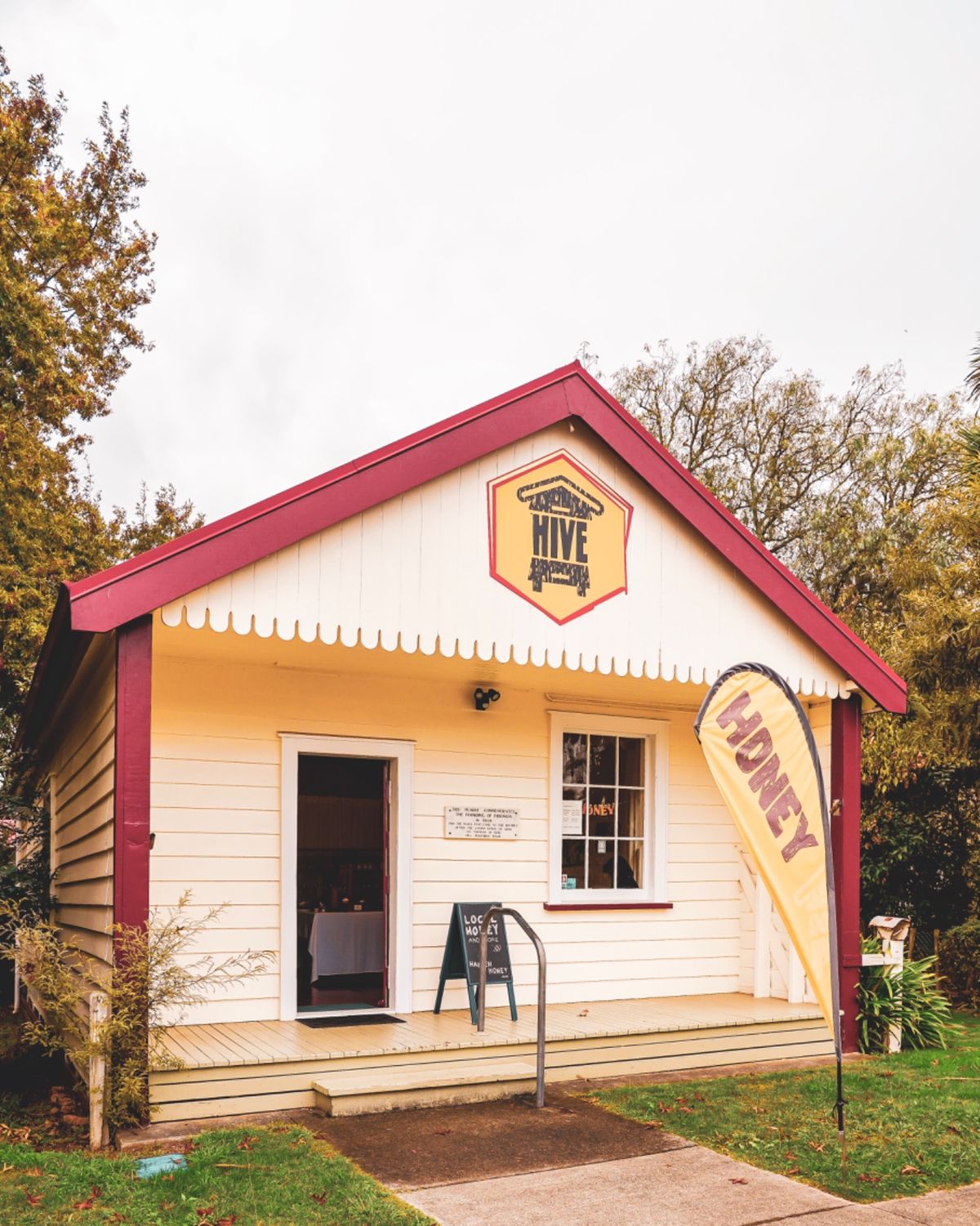 次に訪れたのはピロンギアの町だった。

「アイスクリームを食べよう」
...