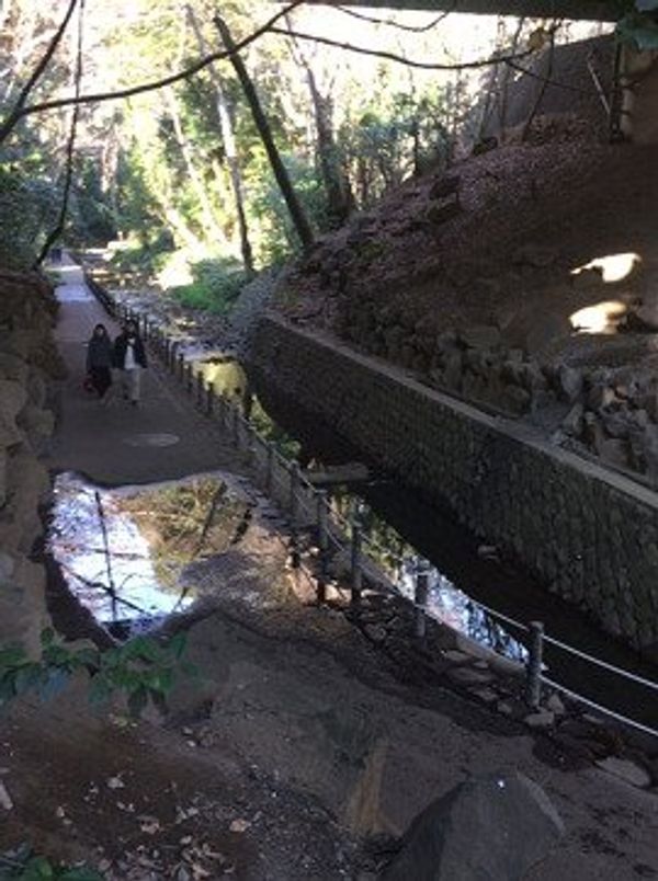 日本・東京都「【散歩】たみ散歩「等々力」 Vol.2 等々力渓谷を森林浴！」の写真：ここは渋谷からなんと20分で行ける都会の...