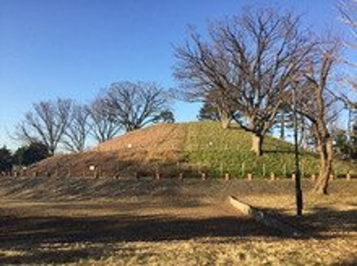 ここは渋谷からなんと20分で行ける都会のオアシス。等々力の駅からも5分。
...