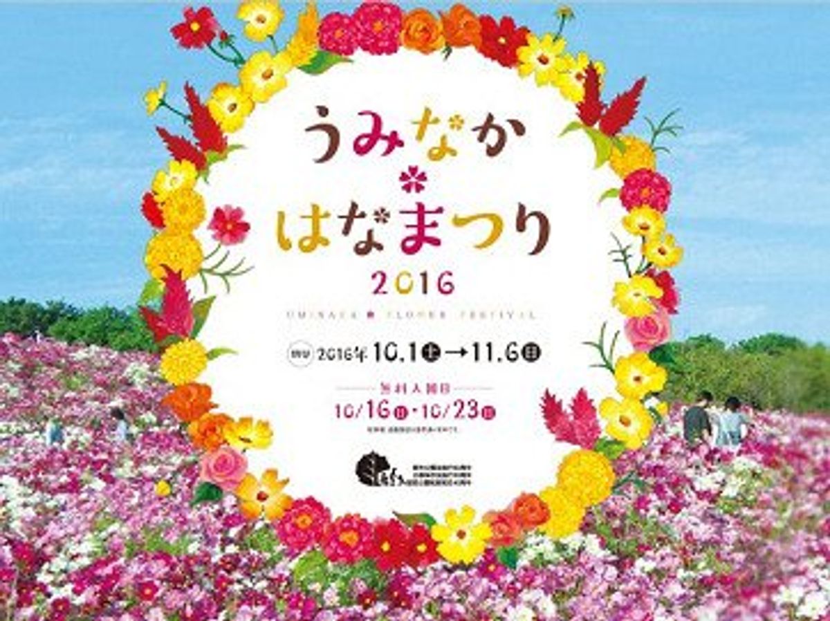 期待を胸に膨らませたどり着くとコスモスがあまり咲いていない。コスモスの絨毯...