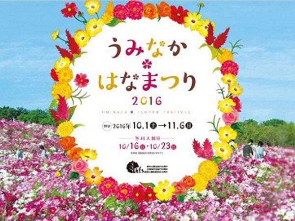 日本・福岡県福岡市「【散歩】たみ散歩「うみなかはなまつり」 Vol.3 コスモスが満開」の写真：期待を胸に膨らませたどり着くとコスモスが...
