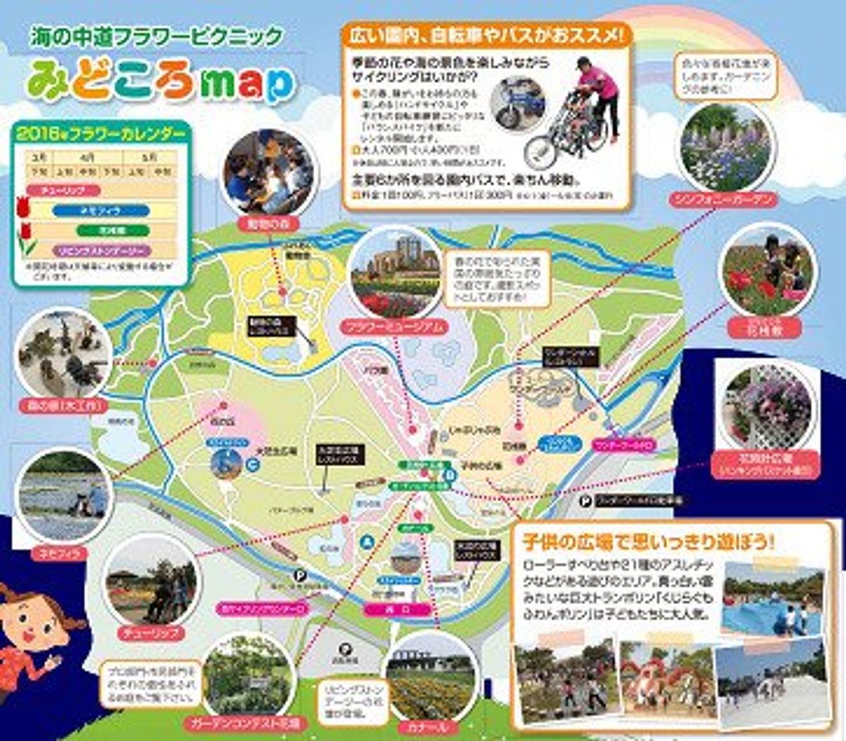 期待を胸に膨らませたどり着くとコスモスがあまり咲いていない。コスモスの絨毯...