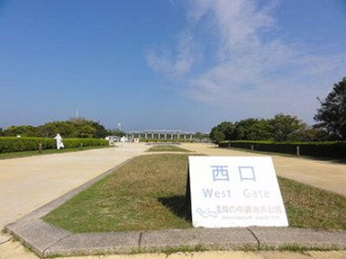 期待を胸に膨らませたどり着くとコスモスがあまり咲いていない。コスモスの絨毯...