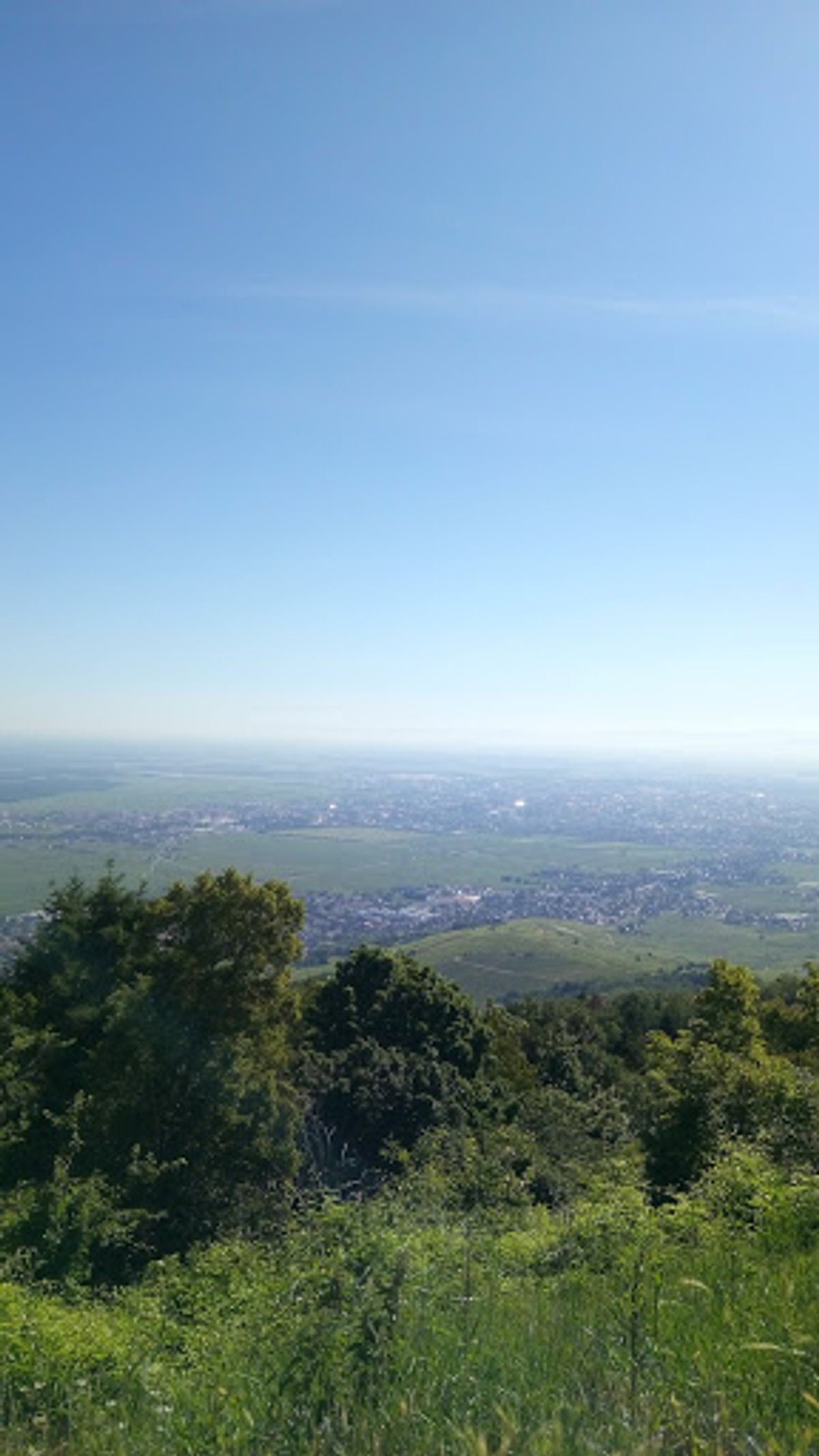 高台からぶどう畑を一望。いい天気〜。
この日は、サハラ砂漠からの熱波で、気...