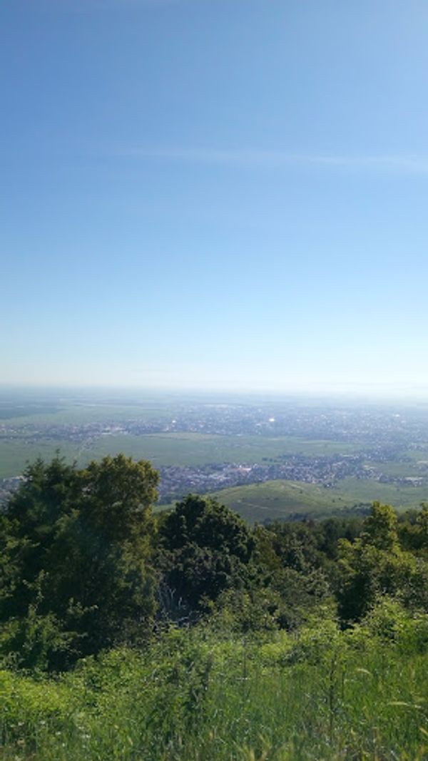 フランス・リクヴィール「アルザスワイン街道を巡る旅」の写真：高台からぶどう畑を一望。いい天気〜。
こ...