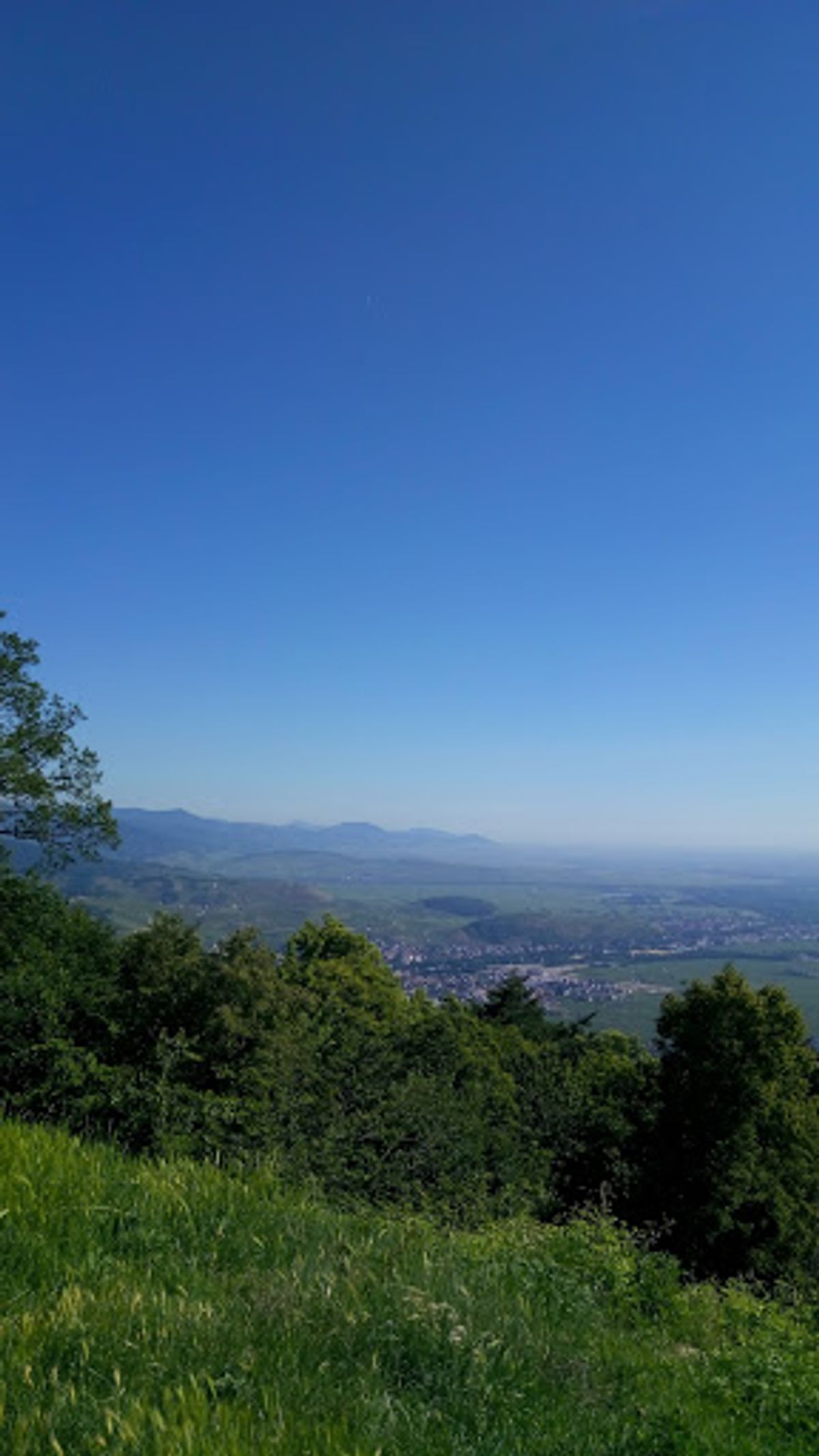 高台からぶどう畑を一望。いい天気〜。
この日は、サハラ砂漠からの熱波で、気...