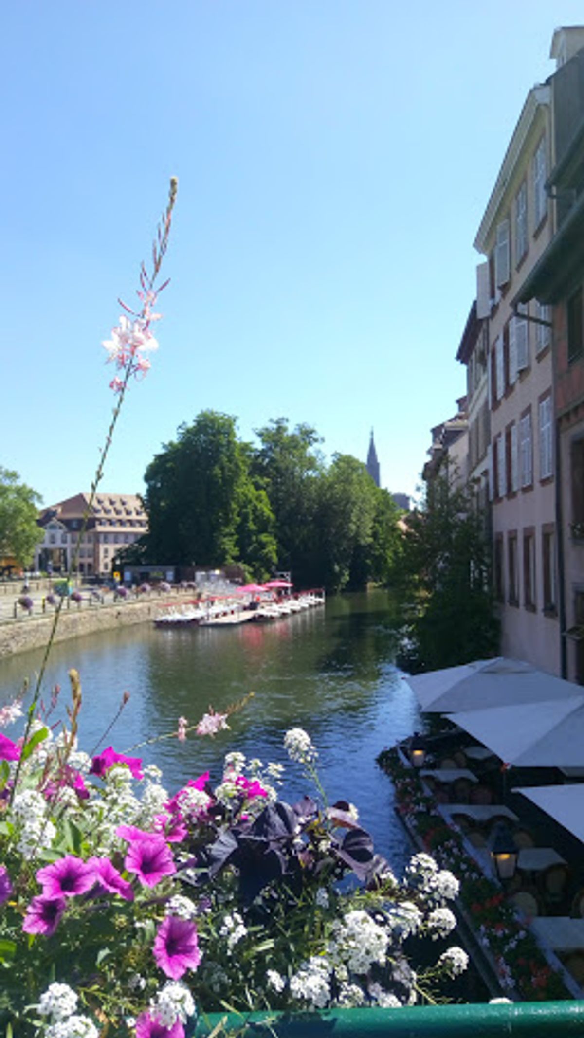 ストラスブールに到着！
夫は、別行動で、運転し続けて、チョコレートを守る...