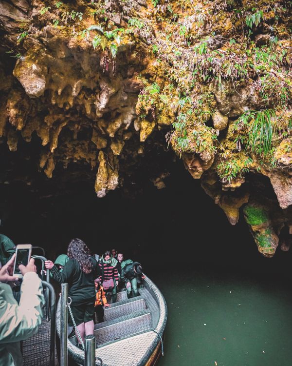 ニュージーランド・ワイトモ「ニュージーランド レンタカーで行き当たりばったりの旅」の写真：とうとう僕たちは大雨の中、目的地のワイト...