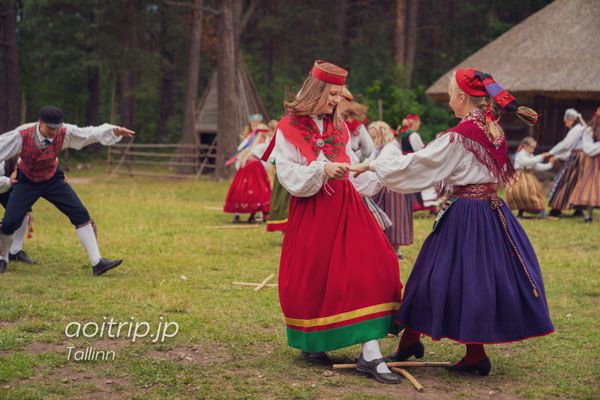 エストニア・タリン「タリン」の写真：🇪🇪エストニア タリンのエストニア野外博...