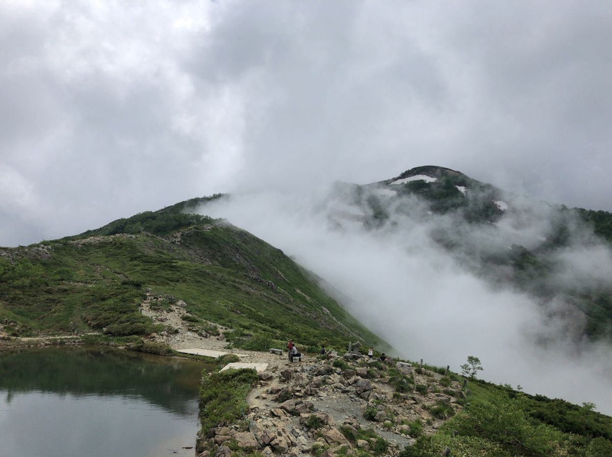 八方尾根と白馬五竜のトレッキング。コマクサ、チングルマ、シャクナゲ、ハッポ...