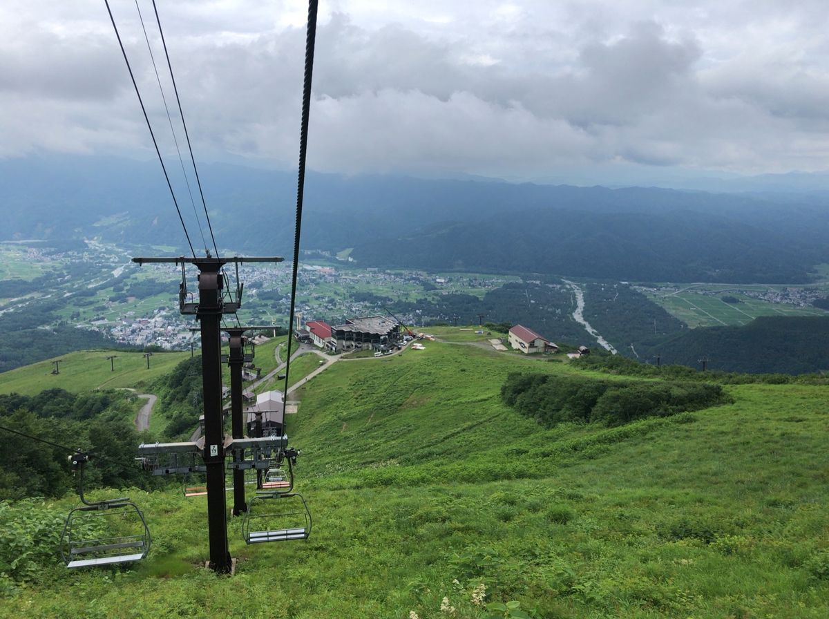 八方尾根と白馬五竜のトレッキング。コマクサ、チングルマ、シャクナゲ、ハッポ...