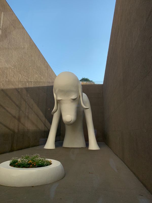 日本・青森県「青森2019 浅虫〜八戸」の写真：『あおもり犬』と書いて「あおもりけん」と...