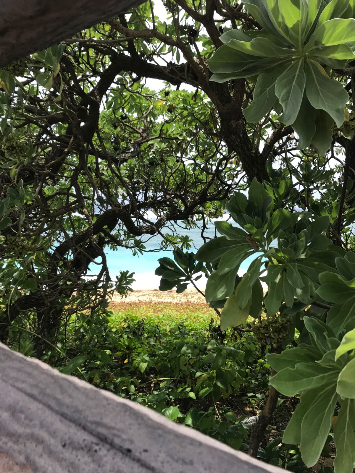 保良泉ビーチ。真水がこんこんと湧く天然プール。この日は台風接近で波が高く、...