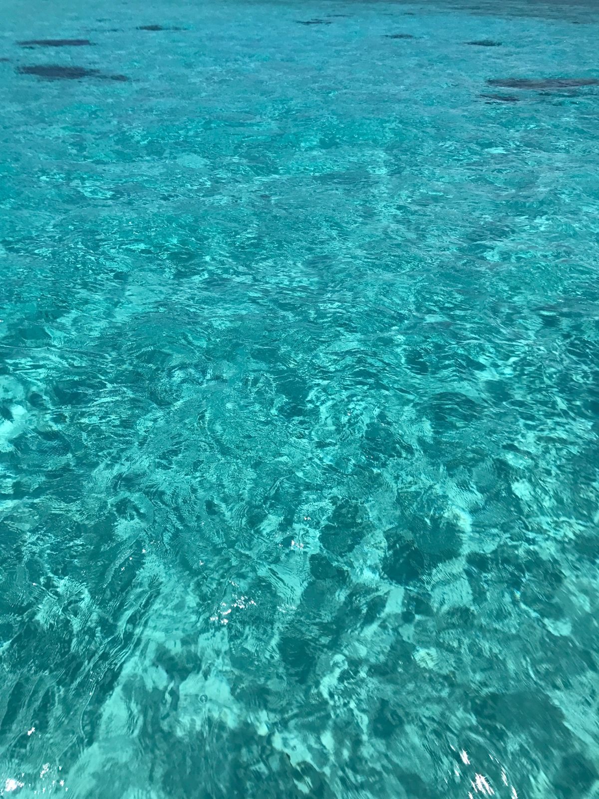 宮古島に行ったら必ず行く八重干瀬（やびじ）のシュノーケリングツアー。ここは...