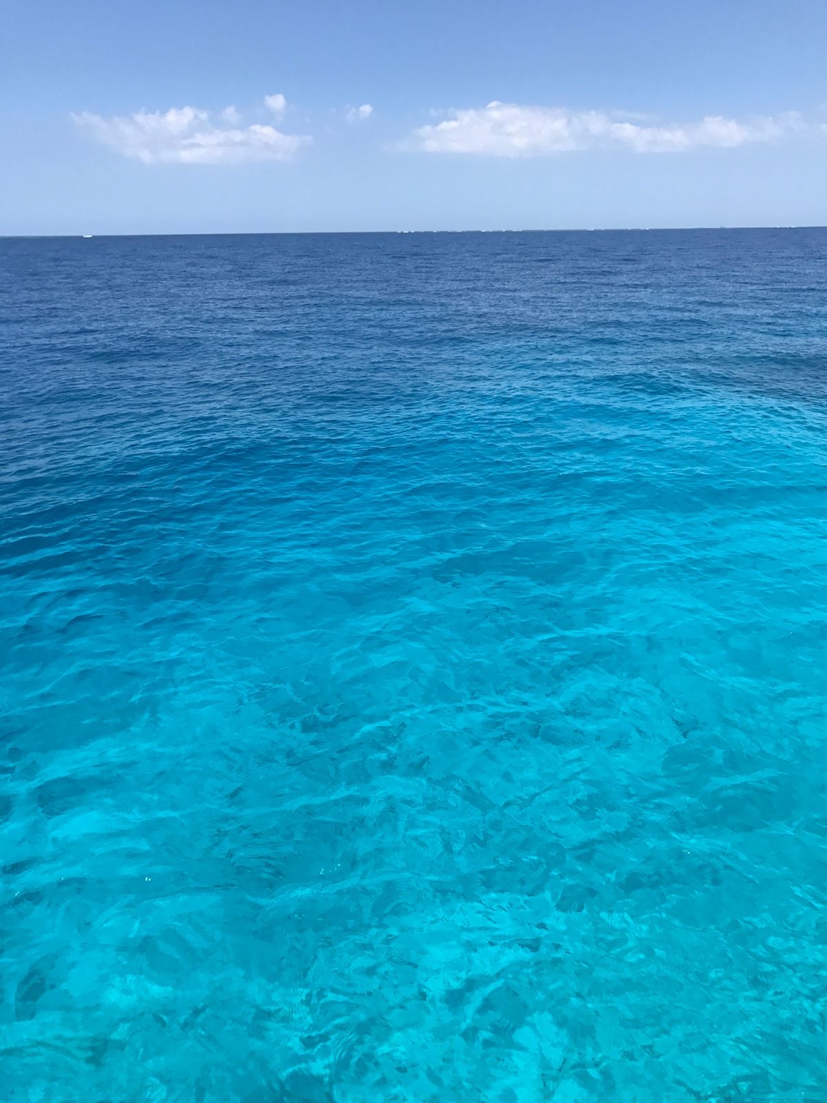 宮古島に行ったら必ず行く八重干瀬（やびじ）のシュノーケリングツアー。ここは...