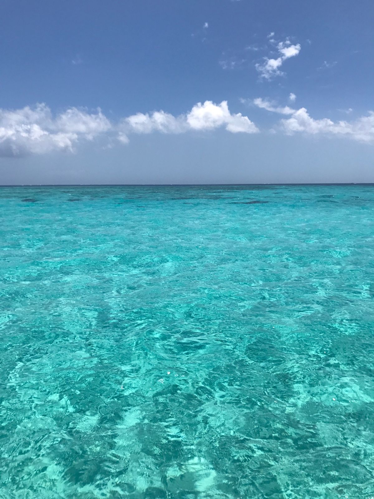 宮古島に行ったら必ず行く八重干瀬（やびじ）のシュノーケリングツアー。ここは...