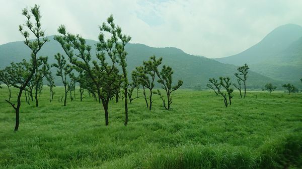 日本・由布院→黒川温泉→阿蘇「リベンジ由布院」の写真