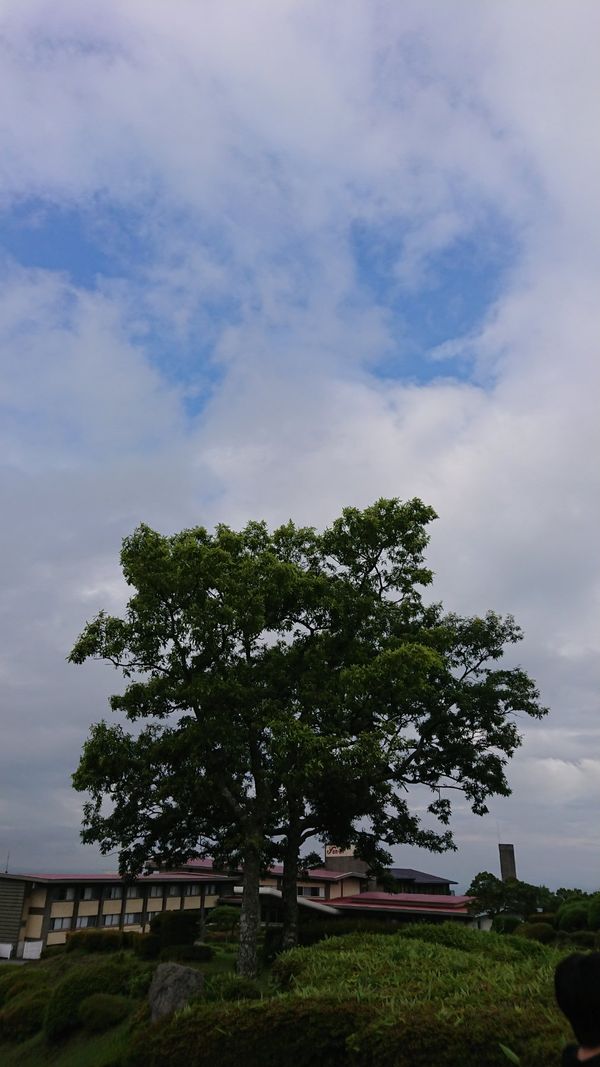 日本・由布院→黒川温泉→阿蘇「リベンジ由布院」の写真