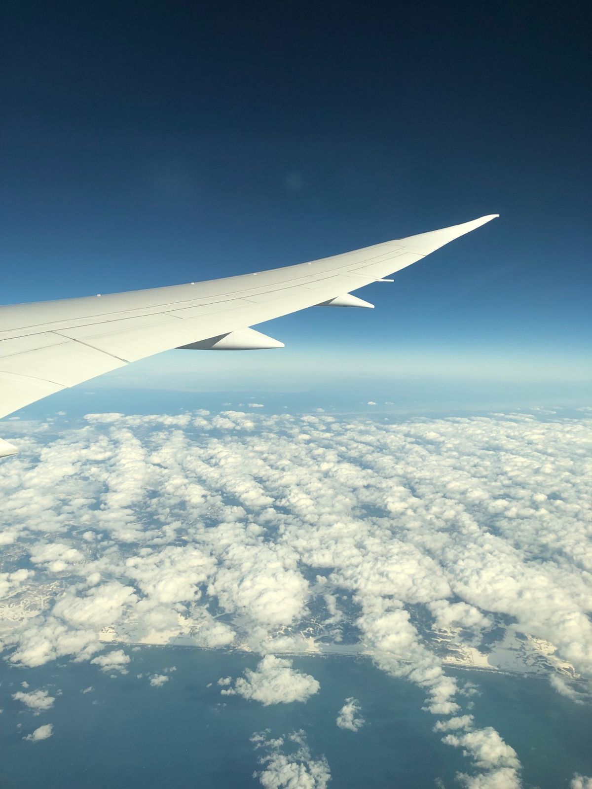 飛行機から見る景色が好きすぎて、窓際の席をつい選んでしまう。何回乗っても飽...
