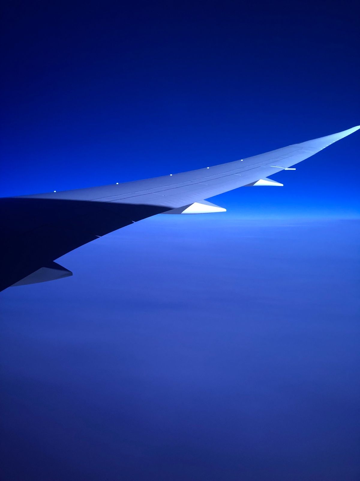飛行機から見る景色が好きすぎて、窓際の席をつい選んでしまう。何回乗っても飽...