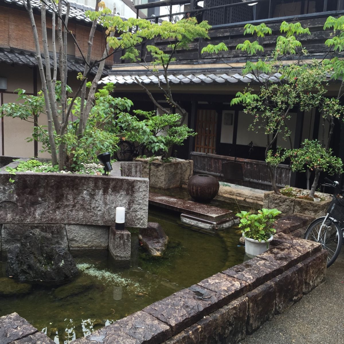 京都の善峯寺と祇園のひつじカフェ。
