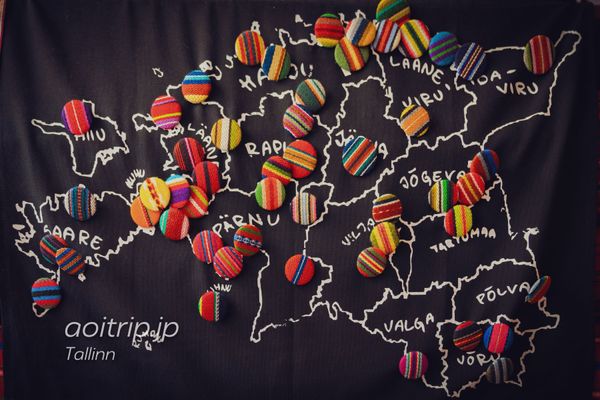 エストニア・タリン「タリン」の写真：🇪🇪エストニアの手工芸品の模様は、各地方...