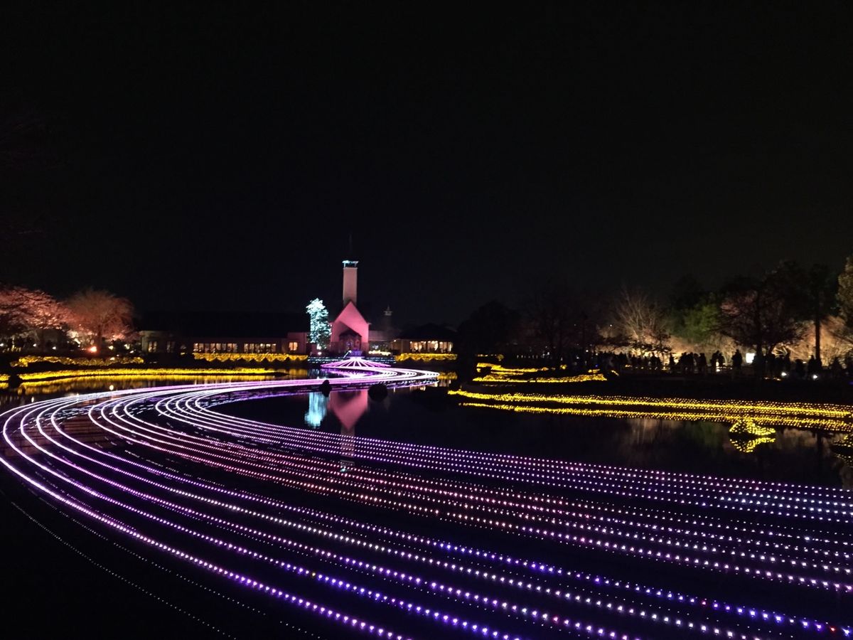 ホテル花水木の料理は美味しい。ここは温泉もいいよね。