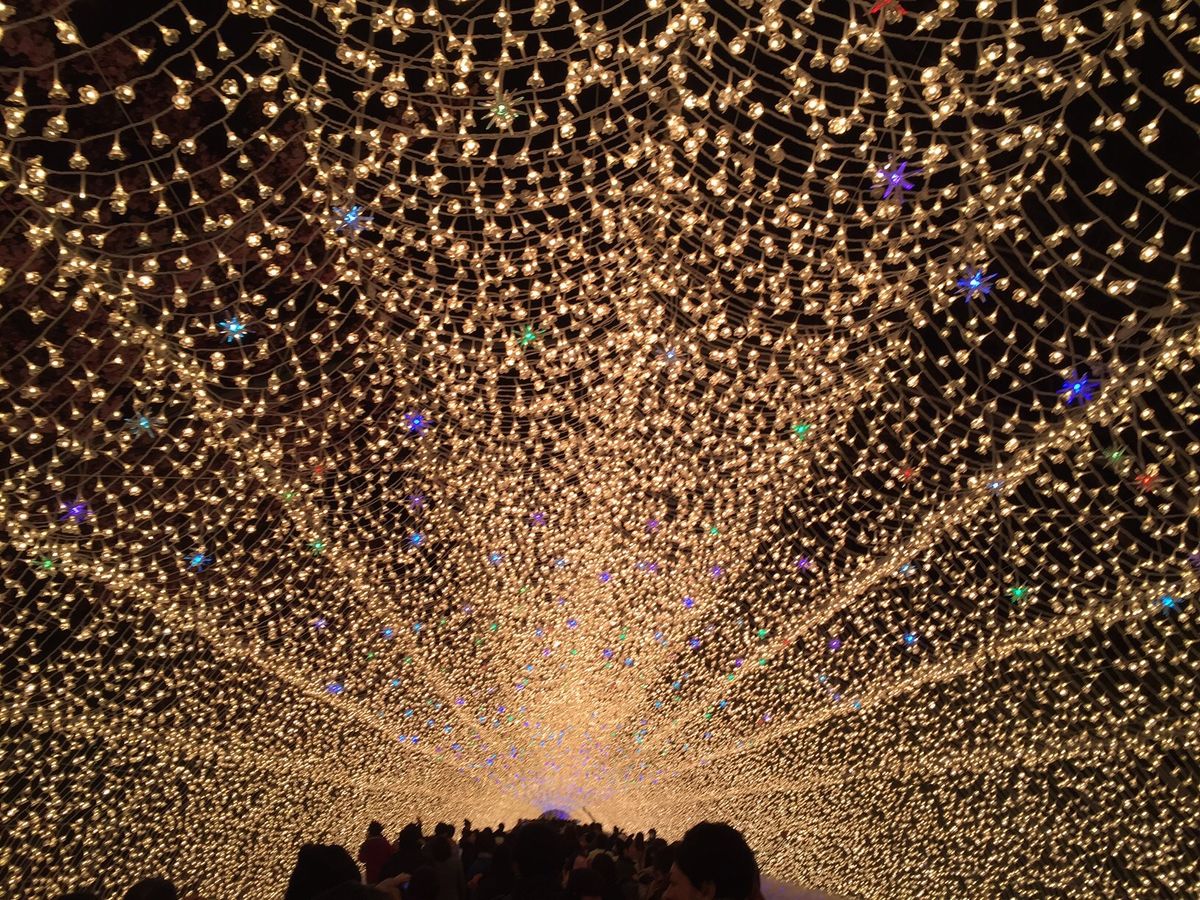 ホテル花水木の料理は美味しい。ここは温泉もいいよね。