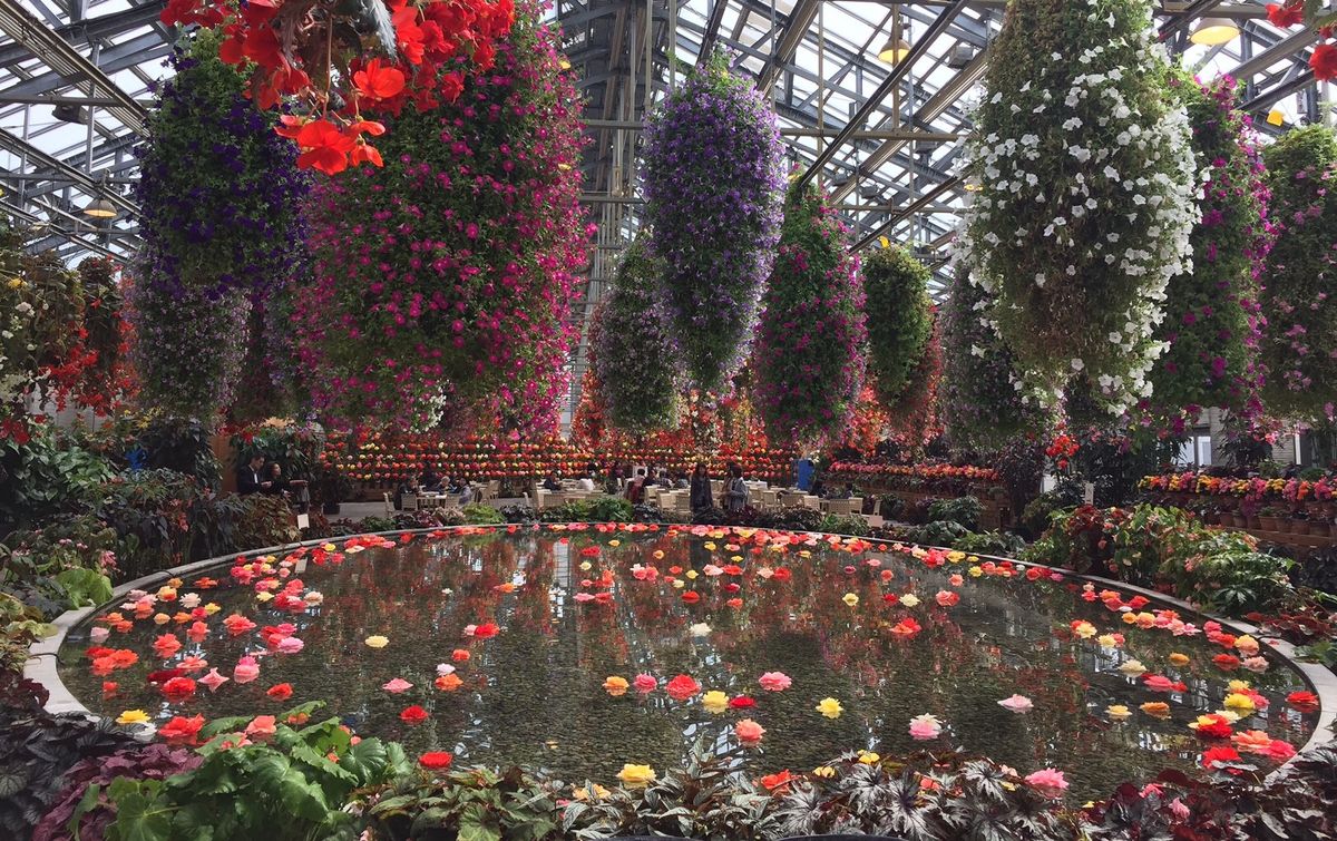 なばなの里の梅園とベゴニアガーデン。温室の中の見返りの池は見事だと思う。