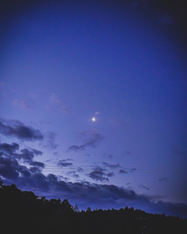 ニュージーランド・ワイトモ「ニュージーランド レンタカーで行き当たりばったりの旅」の写真：「あれ？ないぞ？あれ？」


カメラがな...