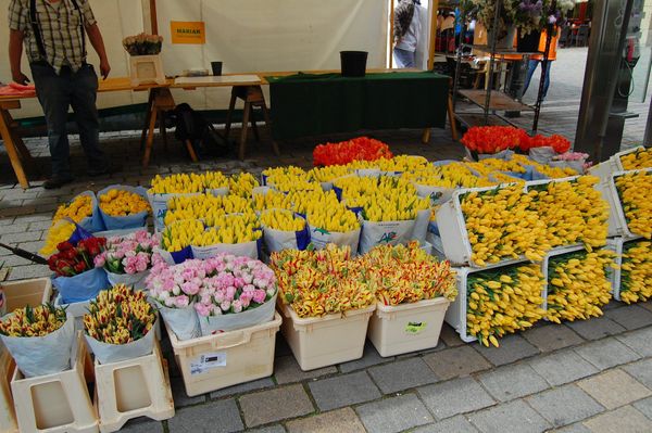ドイツ・ドレスデン、クアオルト・ラーテン、ベルリン「チェコ・ドイツ旅行【ドイツ】」の写真：ベルリン、路面の花屋さん