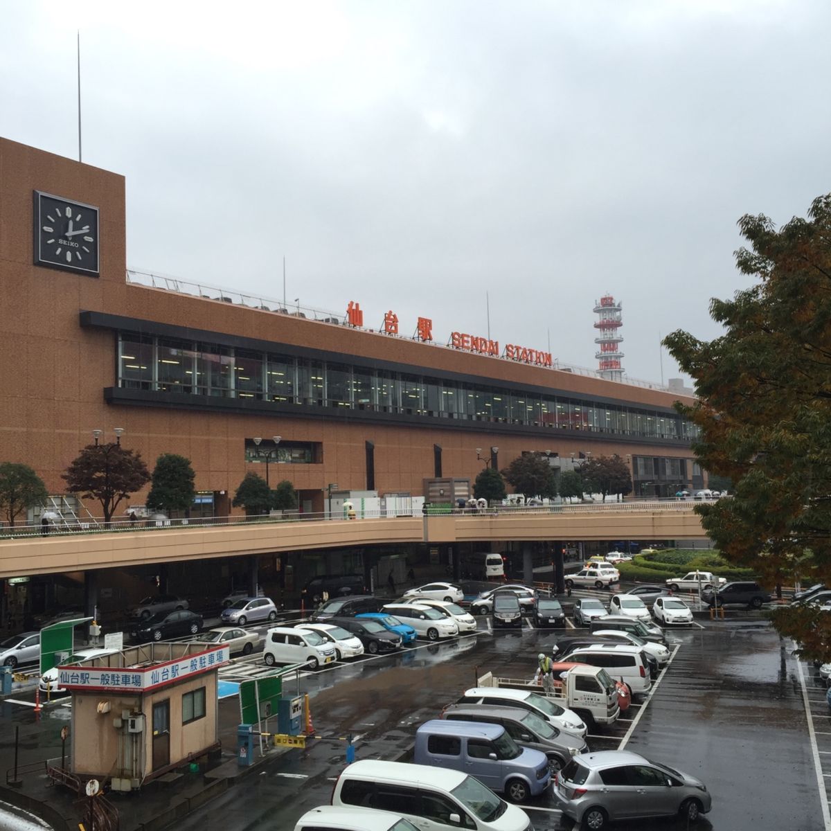 バードウォッチングの後は杜の都仙台を散策。もちろん牛タンを食べました。作家...