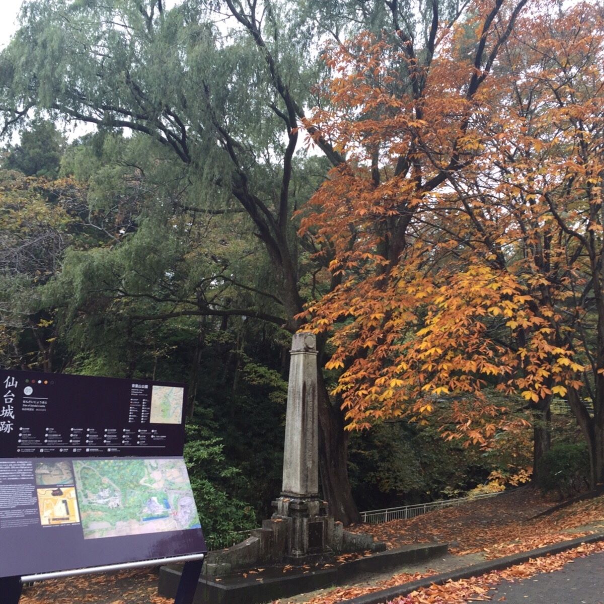 バードウォッチングの後は杜の都仙台を散策。もちろん牛タンを食べました。作家...