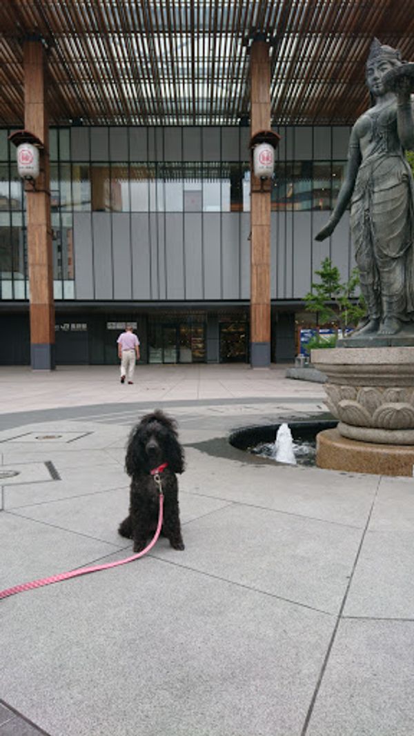 日本・長野市、軽井沢町「長野旅行 善光寺、軽井沢」の写真:長野駅から善光寺までの道は蔵造りの建物が...