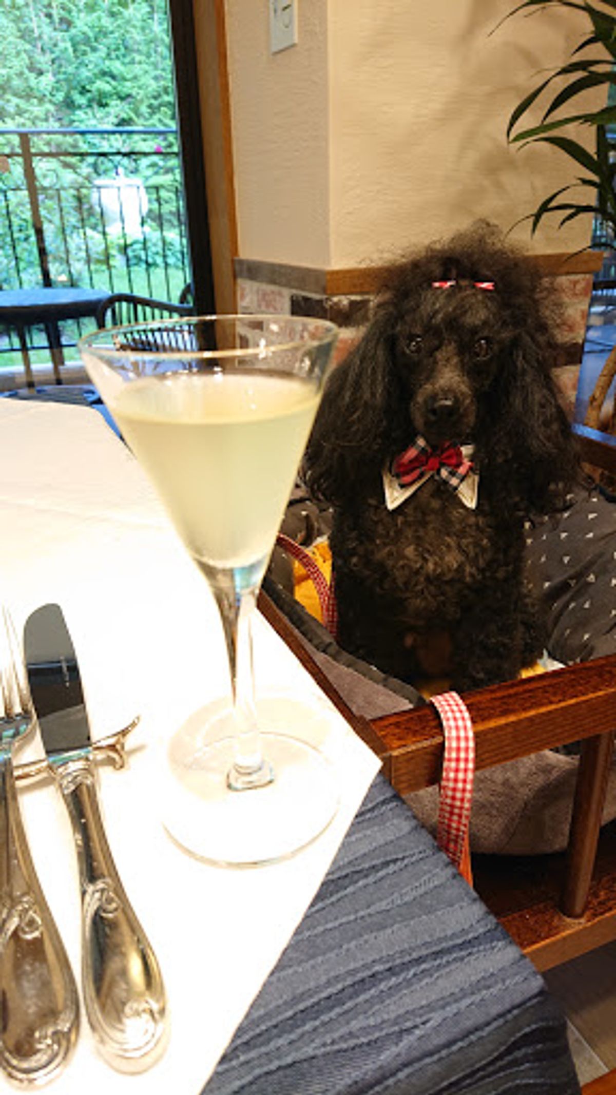 わんこ同席での食事が出来るホテルは有難い😃💕