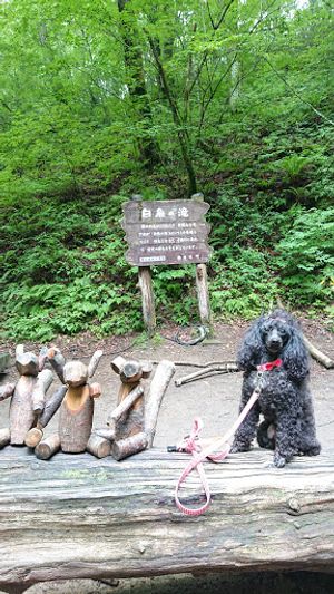 白糸の滝