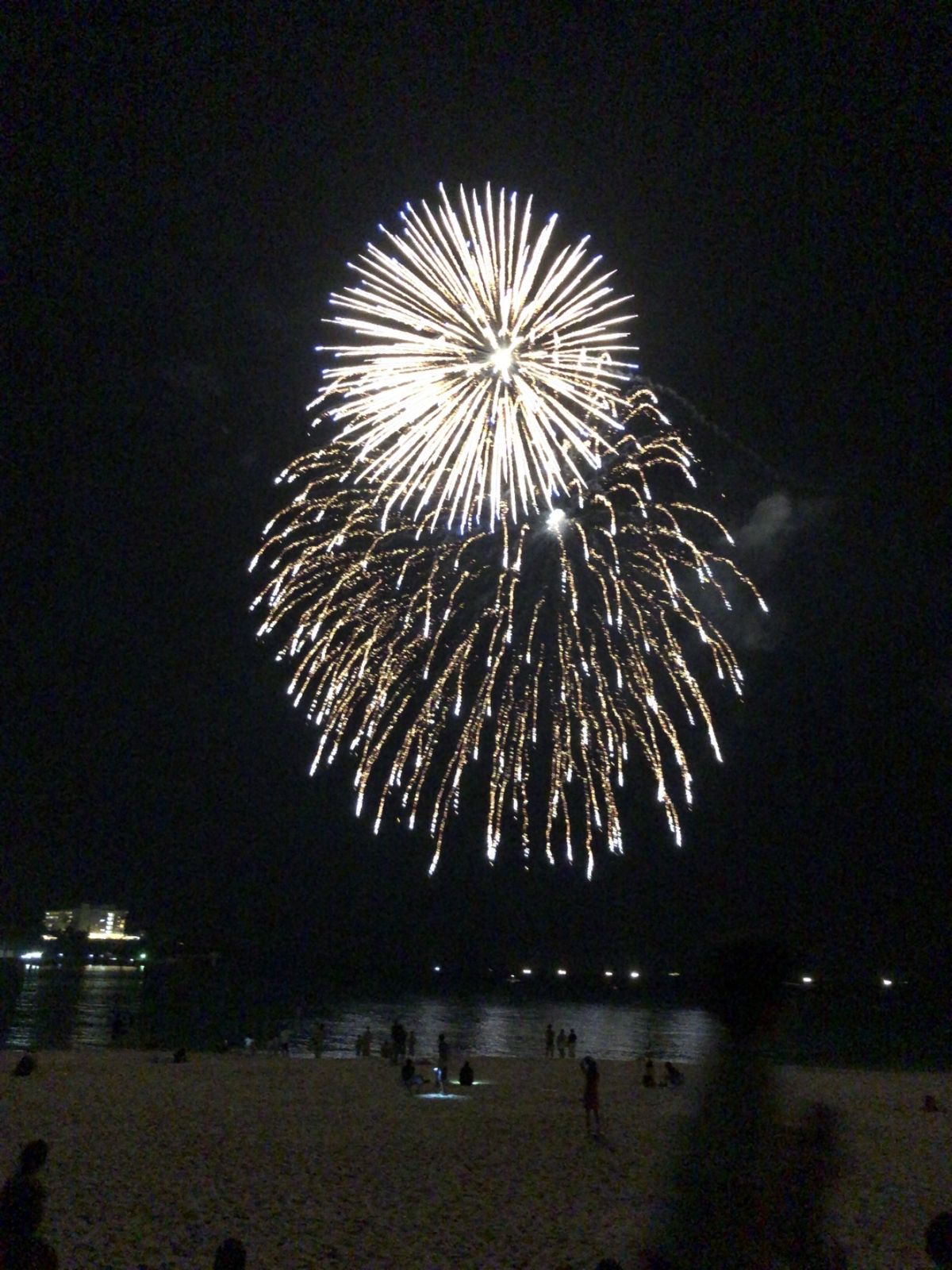 南紀白浜温泉に宿泊。海岸では花火大会と灯籠が美しい。宿の料理も大変美味しゅ...