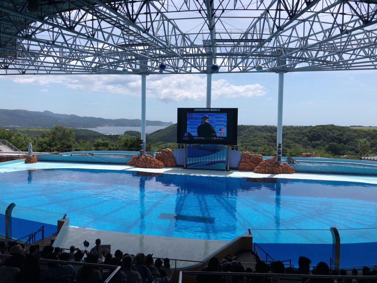 アドベンチャーワールドでパンダを見てイルカのショー。ここは動物との距離が近い。