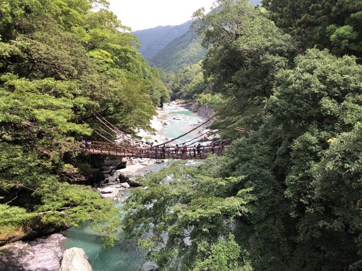 ２日目は徳島県の祖谷渓とかずら橋。かずら橋は思ったよりもスリルがありました。