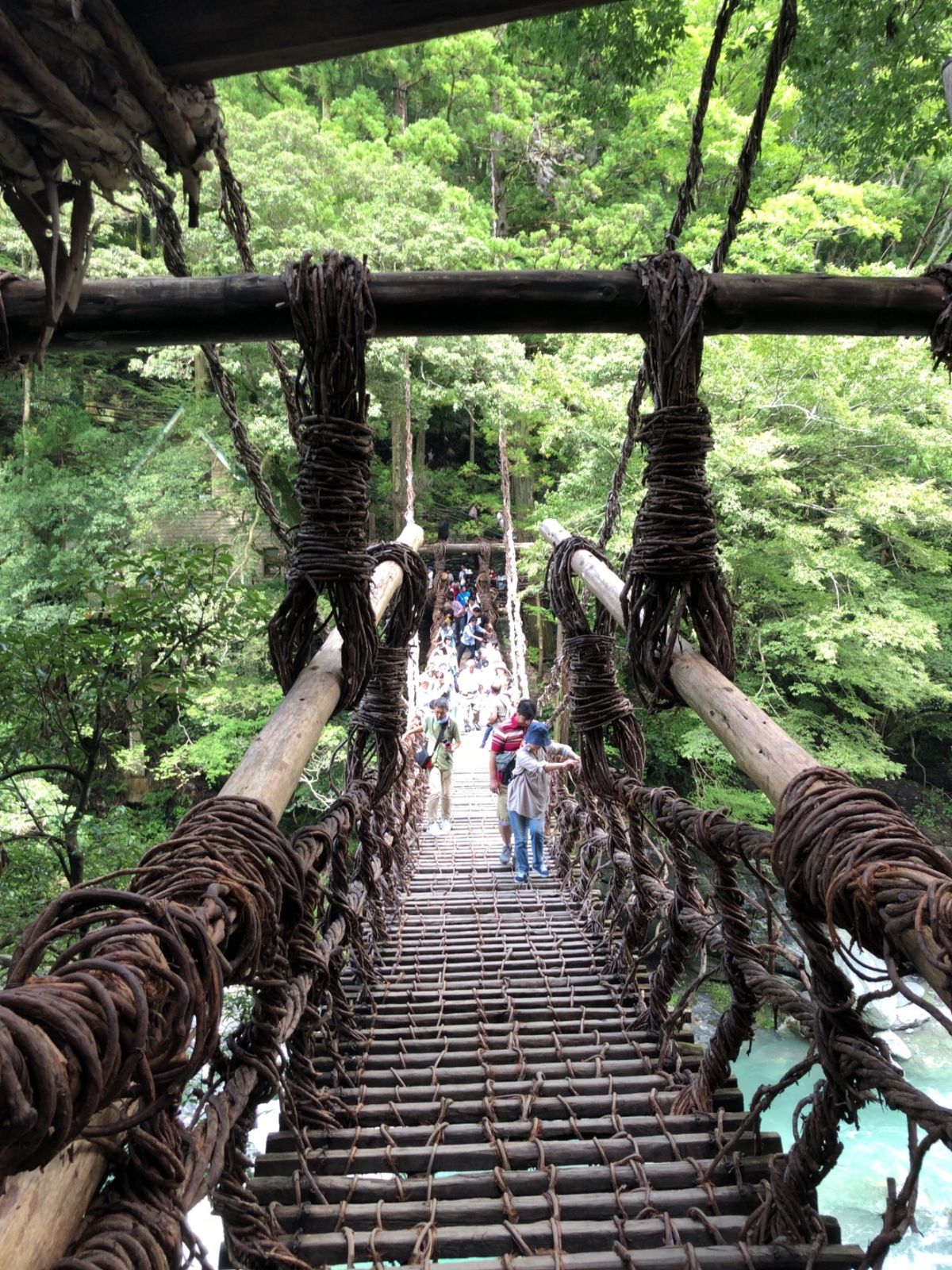 ２日目は徳島県の祖谷渓とかずら橋。かずら橋は思ったよりもスリルがありました。