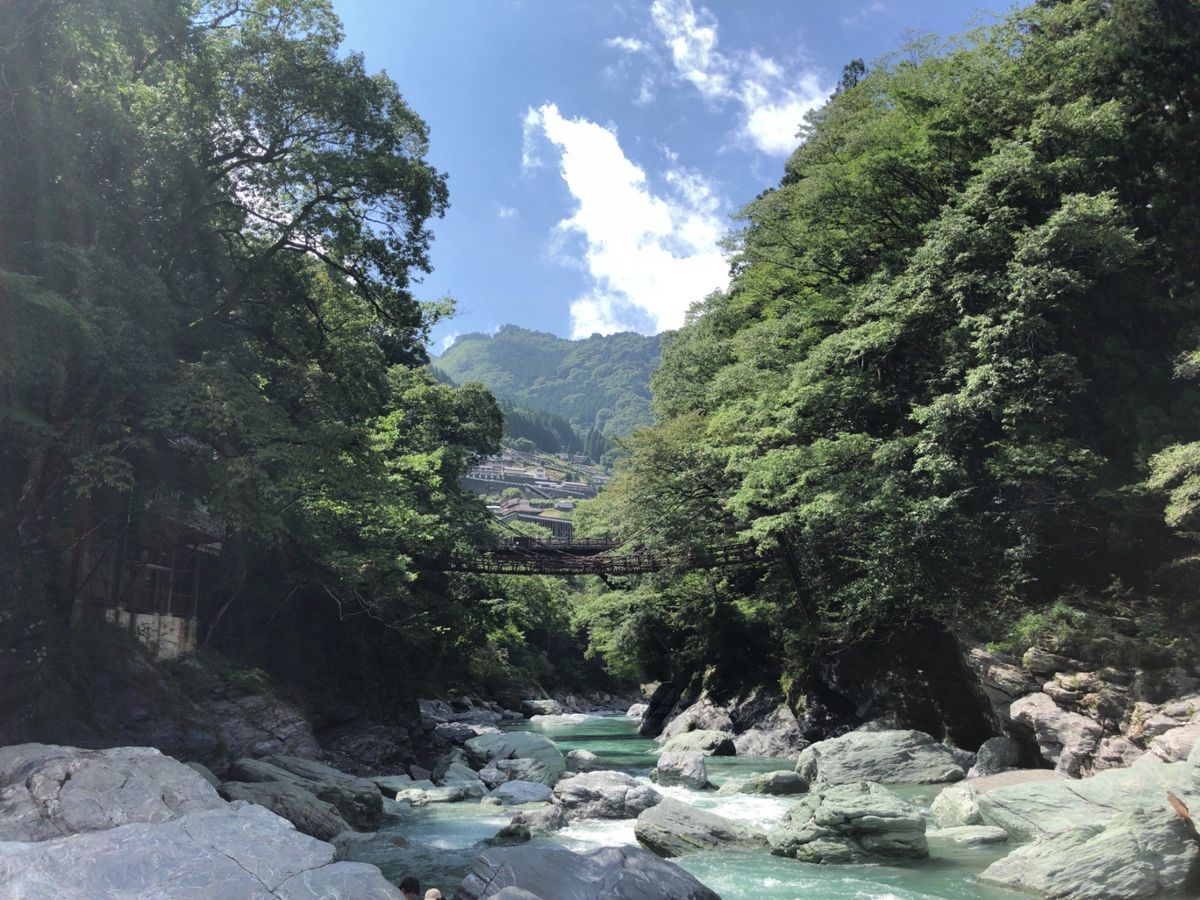 ２日目は徳島県の祖谷渓とかずら橋。かずら橋は思ったよりもスリルがありました。