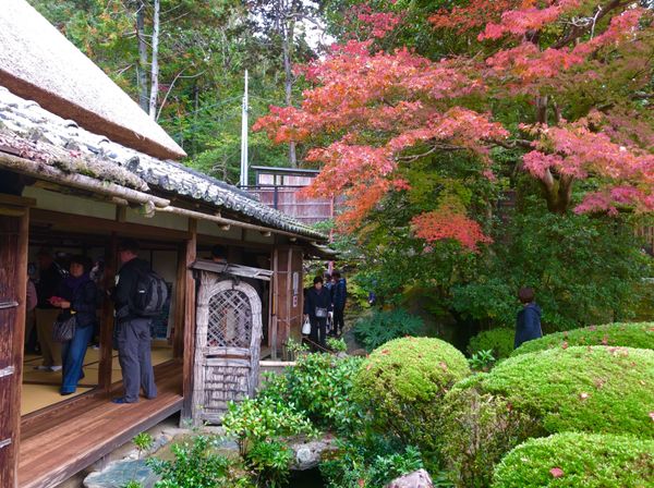 日本・京都府「京都紅葉の旅・2018」の写真：詩仙堂。
